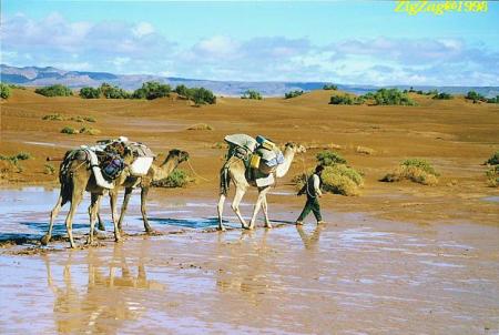 foto sahara